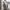sunrei cargo pants in grey photo 1