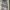 sunrei cargo pants in grey photo 3