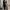 ecinos darkest cargo pants in black photo 2