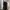 ecinos darkest cargo pants in black photo 1