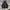 Hoodie Carhart Rain Defenders photo 1