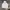 Hoodie Carhart Basic photo 1
