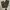 Carhartt B342 DFE Cargo Work Pants Double Knee photo 1