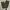 Carhartt B342 DFE Cargo Work Pants Double Knee