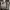 ZARA Casual Crossbody Bag Wanita tan black photo 3