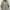 The north face white label nj4hm04k photo 3