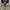 The north face white label nj4hm04k photo 2
