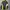 Jaket Outdoor Trespass DLX Waterproof Windbreaker Pria photo 2