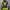 Jaket Outdoor Trespass DLX Waterproof Windbreaker Pria photo 1