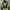Jaket Outdoor Trespass DLX Waterproof Windbreaker Pria