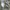 FIELDCORE CHINO ANKLE PANTS LONG PANTS | CELANA PANJANG | KD photo 4