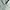Massimo Duti Women Blue photo 2