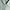 Massimo Duti Women Blue
