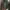 Timbre Work Jacket Green Army photo 1