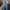 MINOTTI Baggy Boyfriend Pants photo 1