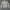 Burberry nova check women photo 1