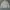 Burberry nova check women photo 6