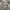 Burberry nova check women photo 4
