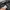 National geographic cargo short photo 4