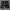 National geographic cargo short photo 1