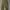 GU super wide cargo photo 4
