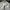 Adidas Vintage Casual Jersey Pria white photo 2