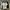 Polo Ralph Lauren Streetwear Y2K Polo Shirt Pria White