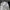 The North Face Gorpcore Streetwear Windbreaker Pria white photo 2