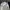 The North Face Gorpcore Streetwear Windbreaker Pria White
