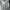 The North Face Gorpcore Streetwear Windbreaker Pria white photo 3