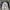 The North Face Gorpcore Streetwear Windbreaker Pria White
