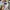 The North Face Gorpcore Streetwear Windbreaker Pria white photo 4