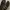 Converse size 41 photo 4