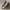 Sepatu bata north star photo 2