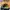 Nike Air Jordan 1 Low photo 1