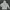 ADIDAS CENTER VOCAL HOODIE photo 1