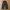 GU by Uniqlo military Parachute Baggy pants photo 1