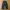 GU By Uniqlo Military Parachute Baggy Pants