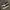 Converse “L,LOPEZ” photo 1