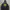 Y2K Champion Hoodies Pria Navy