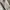 Zara 1538/318 Zipper Overshirt Men's Double Zipper photo 4