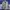 US Army Combat Uniform Digital Camo  photo 2