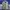 US Army Combat Uniform Digital Camo 