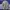 US Army Combat Uniform Digital Camo  photo 4