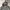Ziphoodie Raplhlauren Grey