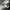Ziphoodie raplhlauren grey photo 4