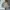 Workjacket raplh lauren cream photo 1