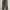 GORE-TEX Camouflage Pants  photo 4