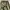 GORE-TEX Camouflage Pants  photo 2