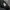 thisisneverthat Gorpcore Y2K Casual pants Pria black photo 5